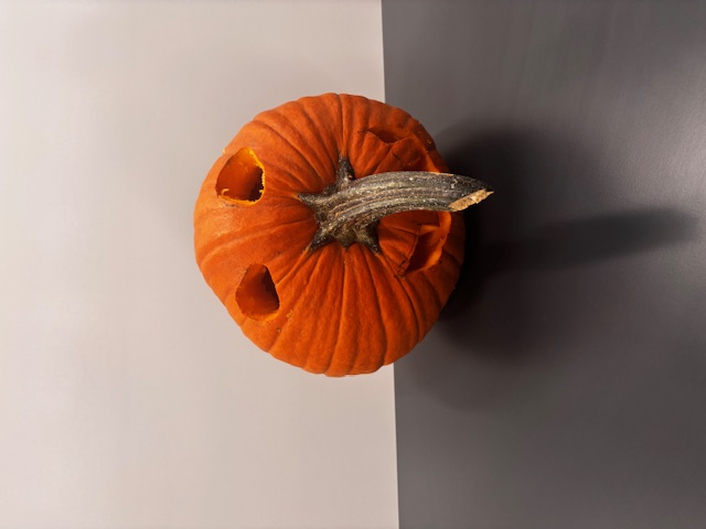 An original pumpkin character with carved eyes and a long natural stem for a nose